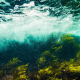 water-sea-ocean-stockpack-pixabay.jpg water, sea, ocean
