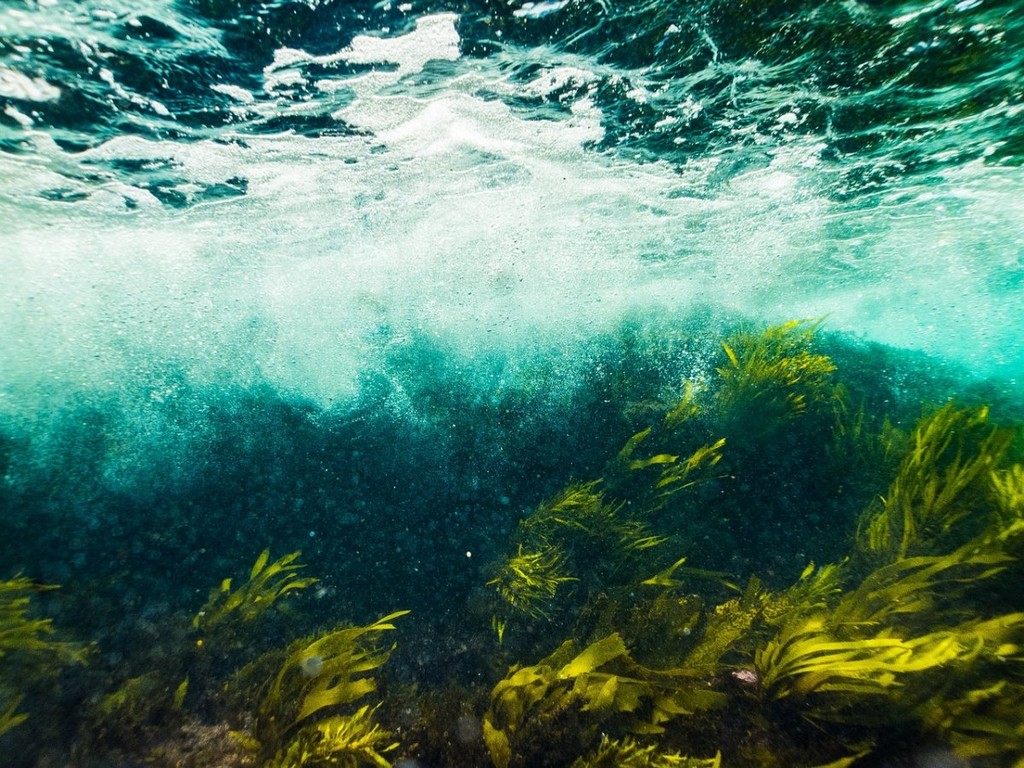 water-sea-ocean-stockpack-pixabay.jpg water, sea, ocean