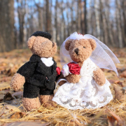 wedding-just-married-the-groom-stockpack-pixabay.jpg wedding, just married, the groom