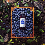 Blue Renaissance Dealul Cu Afine