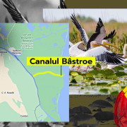 Canalul-Bastroe Canalul Bastroe