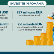 PMI 30ani Infografic _01_Investitii (1) Pmi 30ani Infografic 01 Investitii (1)