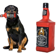 caini-jucarie-whisky Caini Jucarie Whisky