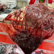 Carne De Vita Exces Sangvin