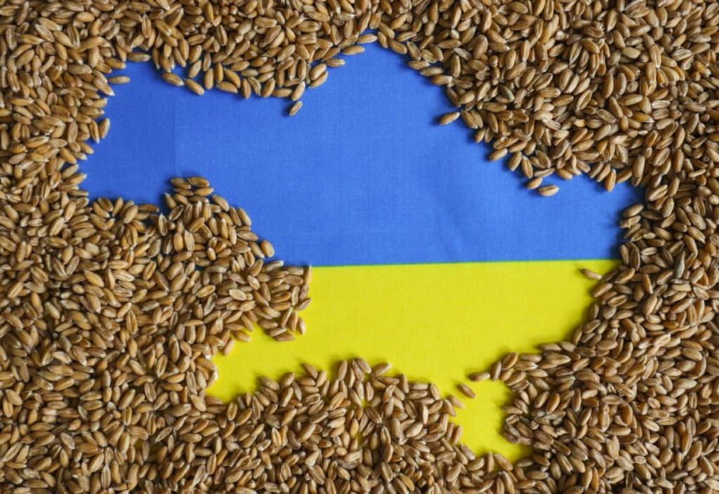 cereale ucraina Cereale Ucraina