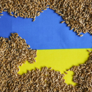 cereale ucraina Cereale Ucraina