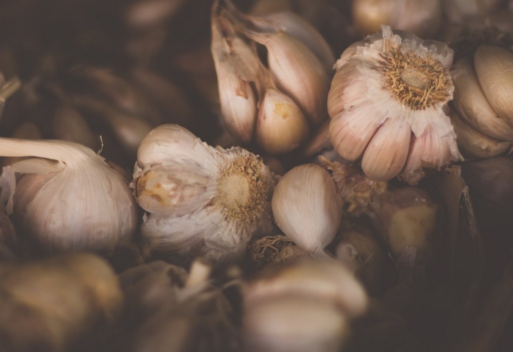 garlic-bulbs-stockpack-unsplash.jpg Garlic Bulbs