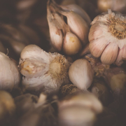 garlic-bulbs-stockpack-unsplash.jpg Garlic Bulbs