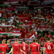 magyar nemzeti labdarugo Magyar Nemzeti Labdarugo