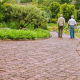 old-friends-conversation-people-talking-stockpack-pixabay.jpg old friends, conversation, people talking