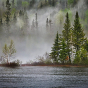 river-forest-fog-stockpack-pixabay.jpg river, forest, fog
