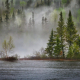 river-forest-fog-stockpack-pixabay.jpg river, forest, fog