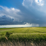 storm-wheat-field-clouds-stockpack-pixabay.jpg storm, wheat field, clouds