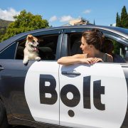 Bolt pet Bolt Pet