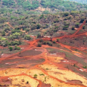 Ngualla-768x475 Ngualla 768x475