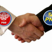 PSD-si-PNL Psd Si Pnl