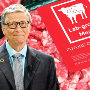 Bill Gates Synthetic Beef Header