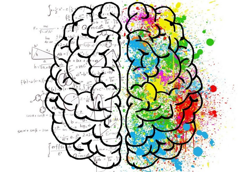 brain-mind-psychology-stockpack-pixabay.jpg brain, mind, psychology