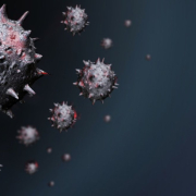 coronavirus-virus-covid-19-stockpack-pixabay.jpg coronavirus, virus, covid-19