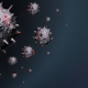 coronavirus-virus-covid-19-stockpack-pixabay.jpg coronavirus, virus, covid-19