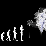 evolution-artificial-intelligence-brain-stockpack-pixabay.jpg evolution, artificial intelligence, brain