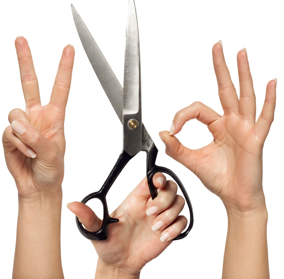 hands-fingers-palm-stockpack-pixabay.png hands, fingers, palm