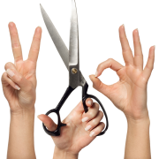 hands, fingers, palm