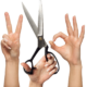 hands, fingers, palm