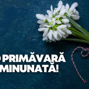 primavara minunata PNL Primavara Minunata Pnl