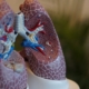 selective-focus-photography-of-anatomy-lungs-stockpack-unsplash.jpg selective focus photography of anatomy lungs