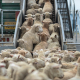 sheep-being-loaded-onto-trucks-from-the-sale-yards-australia-2013-explore-and-use-15000-more-royalty-free-photos-and-video-of-animals-at-weanimalsmediaorg-stockpack-unsplash.jpg Sheep being loaded onto trucks from the sale yards. Australia, 2013.Explore and use 15,000 more royalty-free photos and video of animals at weanimalsmedia.org