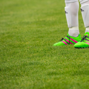 soccer-footballers-field-player-stockpack-pixabay.jpg soccer, footballers, field player
