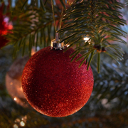 christmas-tree-christmas-ornament-stockpack-pixabay.jpg christmas tree, christmas, ornament