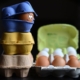 egg-cartons-eggs-egg-box-stockpack-pixabay.jpg egg cartons, eggs, egg box