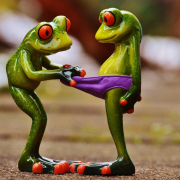 frogs-curious-fun-stockpack-pixabay.jpg frogs, curious, fun