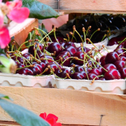 fruit-cherry-stone-fruit-stockpack-pixabay.jpg fruit, cherry, stone fruit