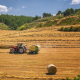 harvest, tractor, agriculture