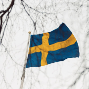 Snow wood banner winter