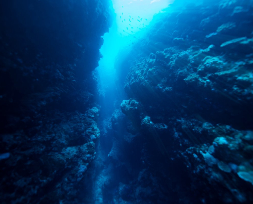 Underwater view of blue sea