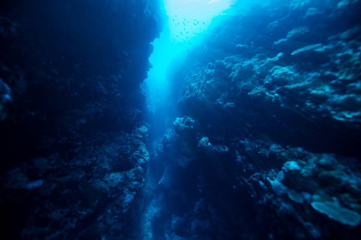 underwater-view-of-blue-sea-stockpack-pexels.jpg Underwater view of blue sea