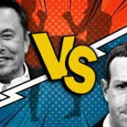 Musk Zuckerberg fight Musk Zuckerberg Fight