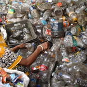 a-woman-collecting-recyclable-plastic-bottles-stockpack-pexels.jpg A woman collecting recyclable plastic bottles