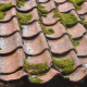 an-old-clay-tile-roof-with-moss-growing-on-it-stockpack-unsplash.jpg An old clay tile roof with moss growing on it.