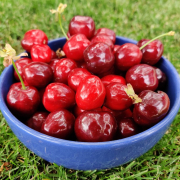 Cirese Bol Fructe Roșii Bio Copyright Foto Contactati Www.afaceri.news