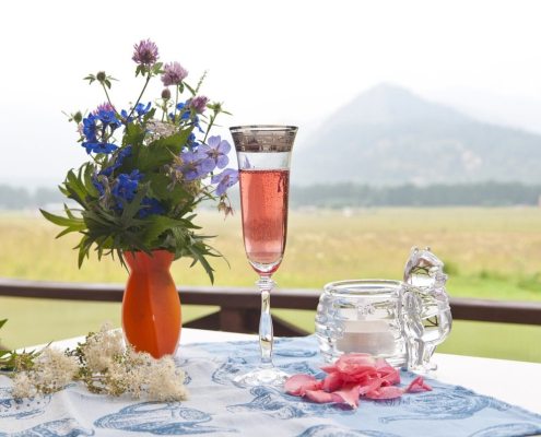 flowers-champagne-mountains-stockpack-pixabay.jpg flowers, champagne, mountains