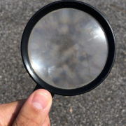 hand-magnifying-glass-discover-stockpack-pixabay.jpg hand, magnifying glass, discover