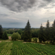 Nori Negri Munte Grindină Noros Brazi Culturi Cartofi Apuseni Copyright Foto Contactati Www.afaceri.news