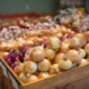 onions-produce-store-stockpack-pixabay.jpg onions, produce, store