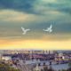 peace, kiev, ukraine