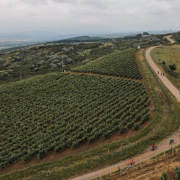 traseu cicloturism Via Soarelui Traseu Cicloturism Via Soarelui